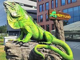 Descopera Reptiland Bucuresti – Aventura Educationala in Lumea Tropicala - FUNTIX